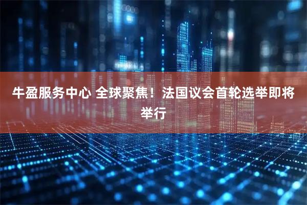 牛盈服务中心 全球聚焦！法国议会首轮选举即将举行