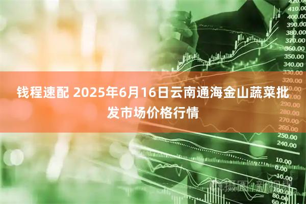 钱程速配 2025年6月16日云南通海金山蔬菜批发市场价格行情