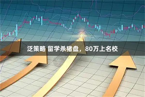 泛策略 留学杀猪盘，80万上名校